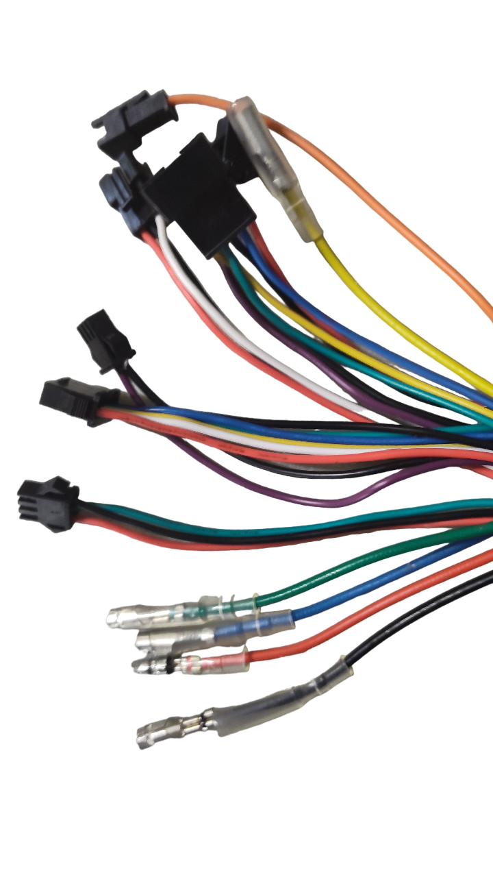 Controller 48V For Phoenix '22-23