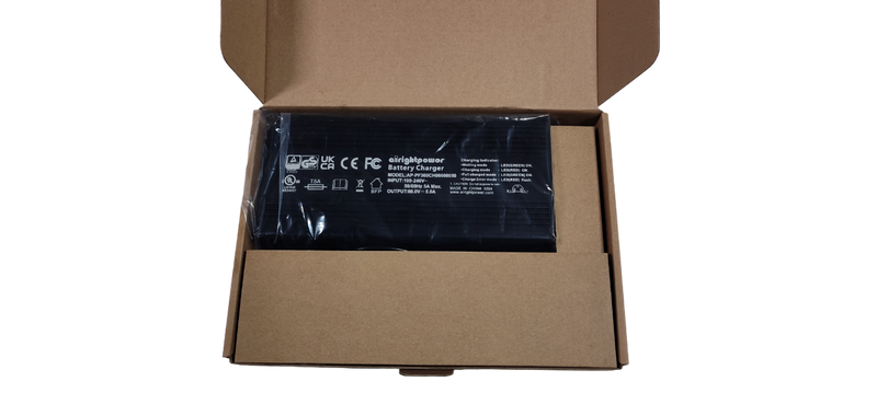 Charger 60v 5A LAB Intelligent Charger PC PLUG