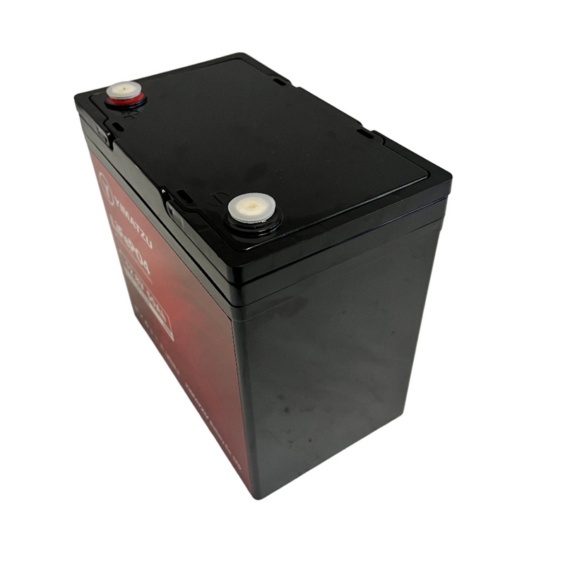 12V 50Ah Sealed Lithium Ion LiPo Battery