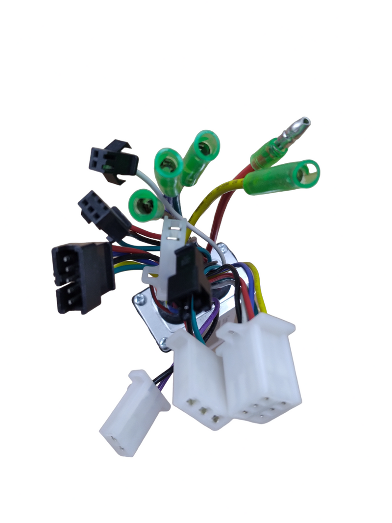 Controller 48V For Wolf 2022