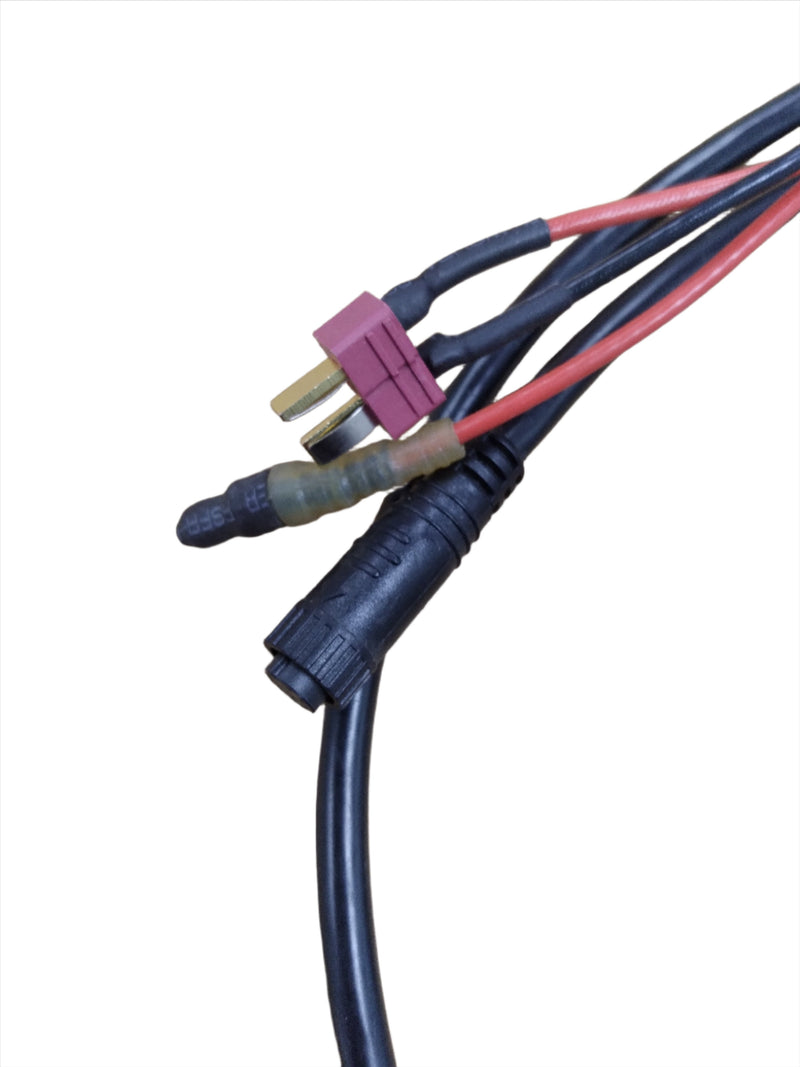 Brushless Motor Controller 48v for Wildgoose Double