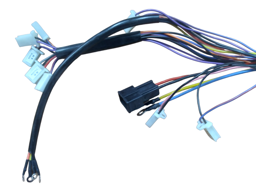 Controller 36V For Pithog Jr. 2021