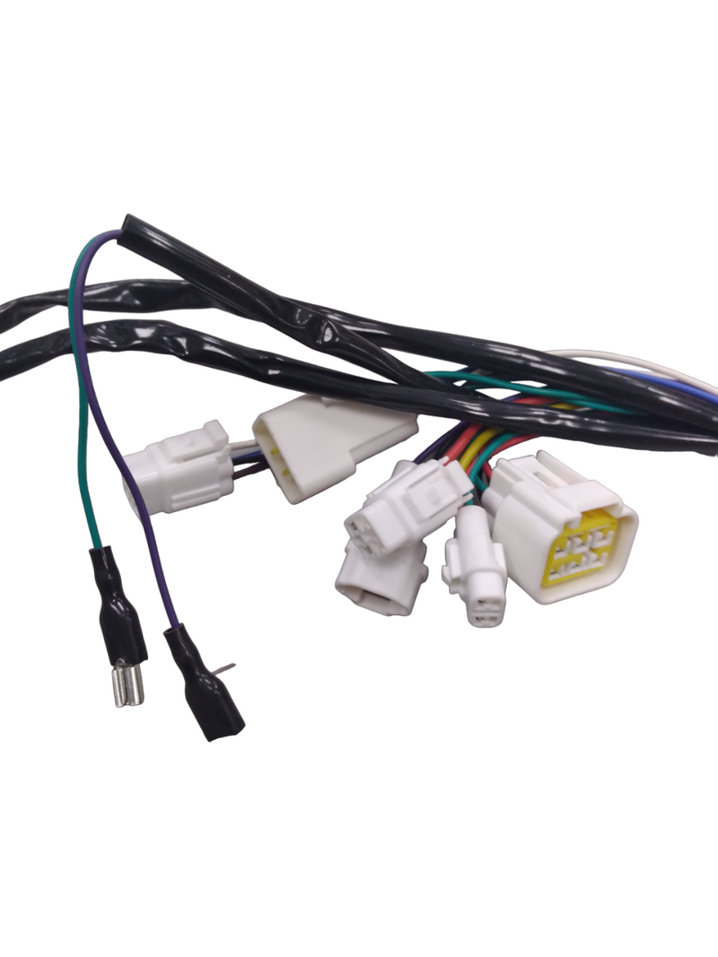 Wiring Harness for Grunt (Connector B)