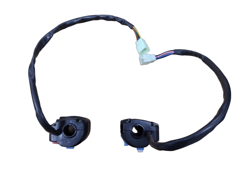 Universal function switch