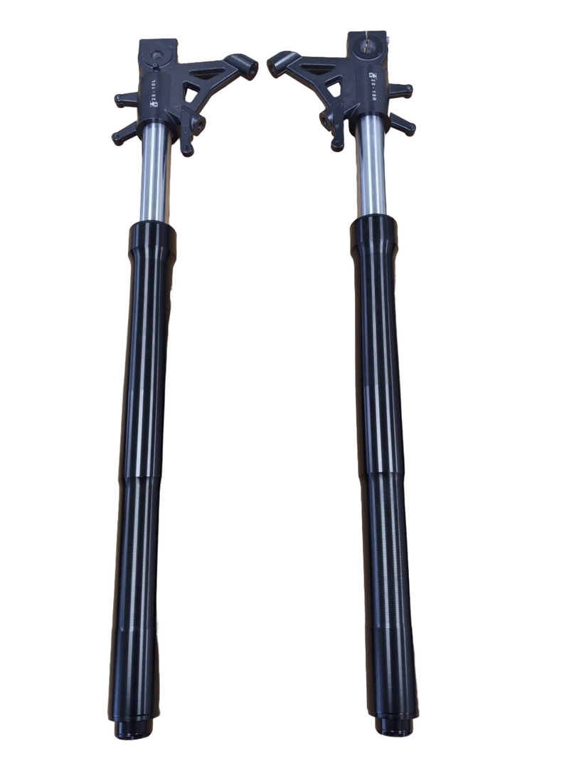 Shocks for EM2 - BLACK (2021)