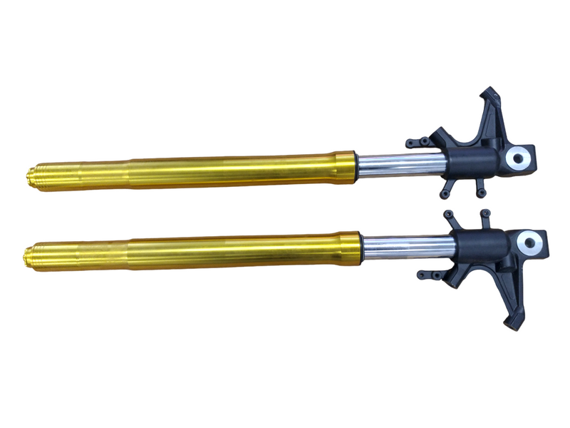 Shocks for EM2 -Gold