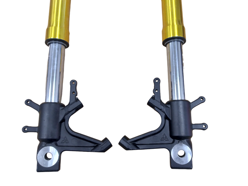 Shocks for EM2 -Gold