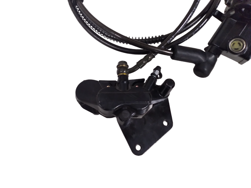 EM2 (2019) Rear Brake Assembly