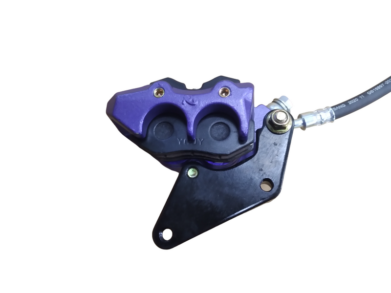 Front brake assembly for Eagle Deluxe 84V
