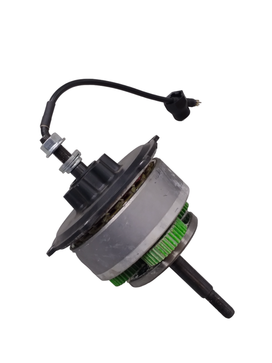 Rear Wheel Motor For Wolf