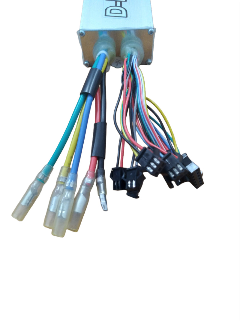 Controller 48V 22A for Wildgoose