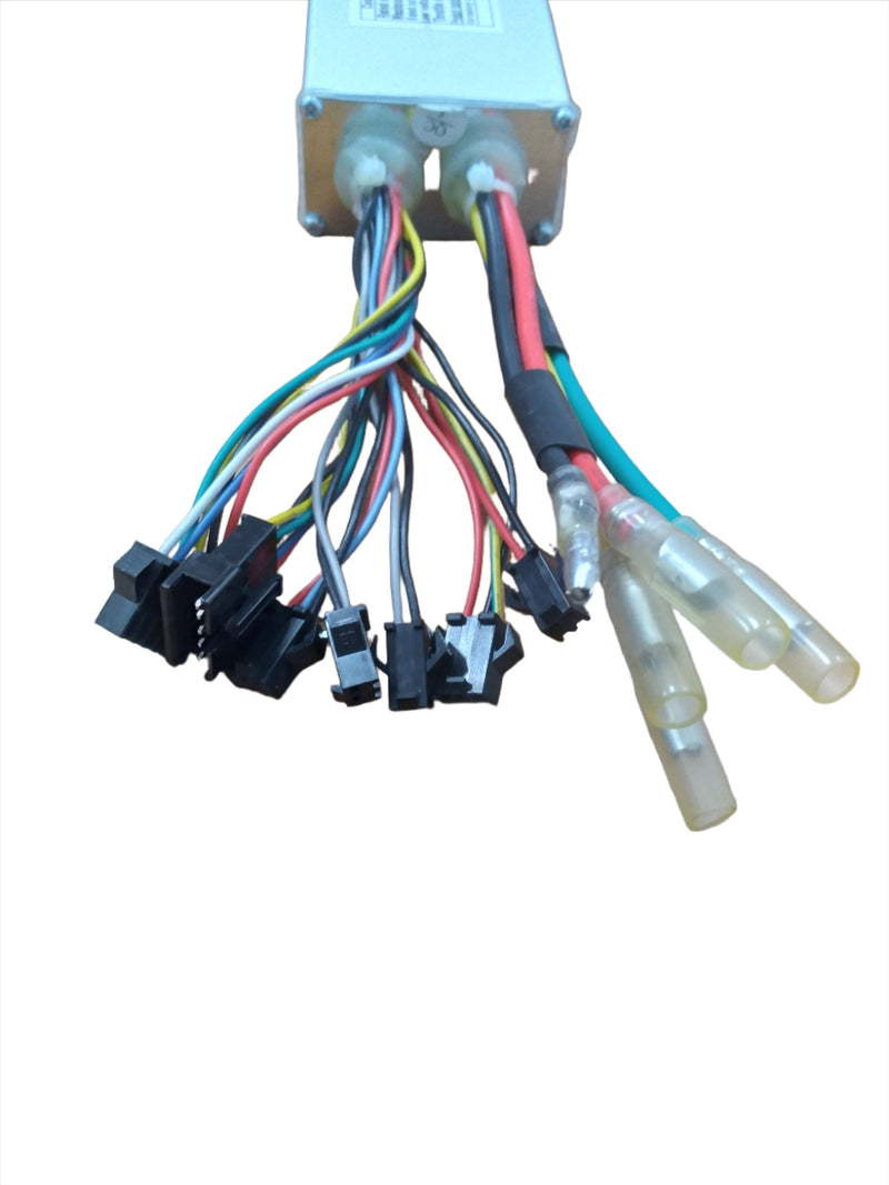 Controller 48V 22A for Wildgoose