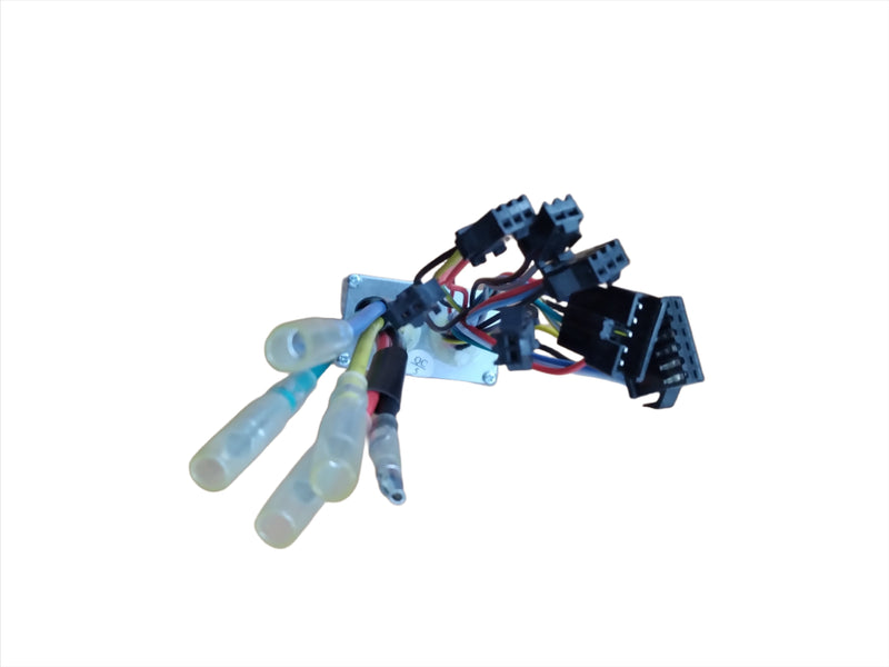 Controller 48V 22A for Wildgoose