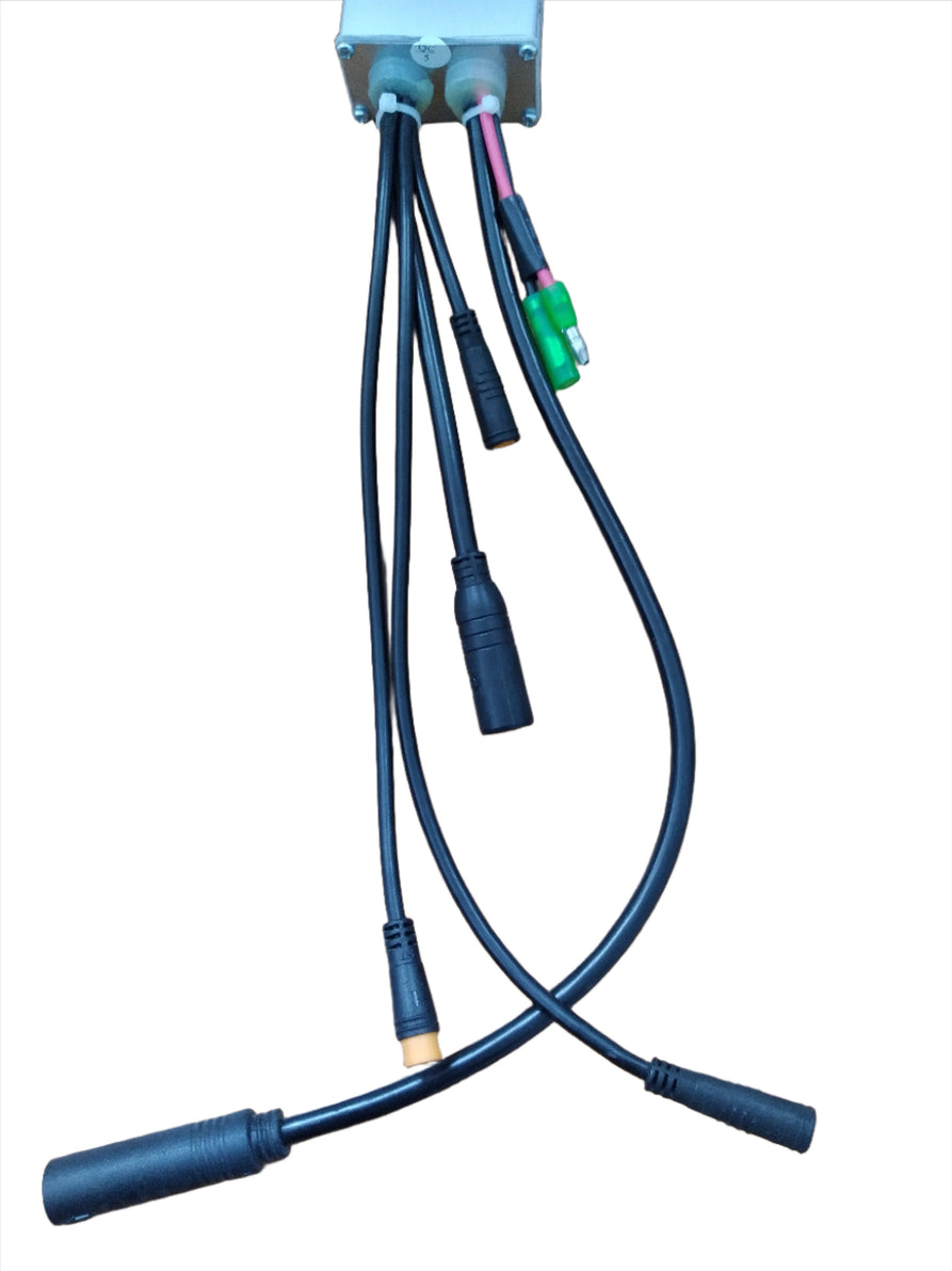 Brushless Motor Controller 36v 15A for London/Manchester