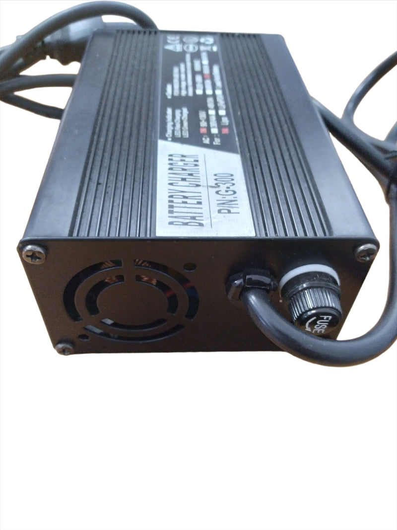 Charger 60V 3.0A Lithium Ion PC Plug