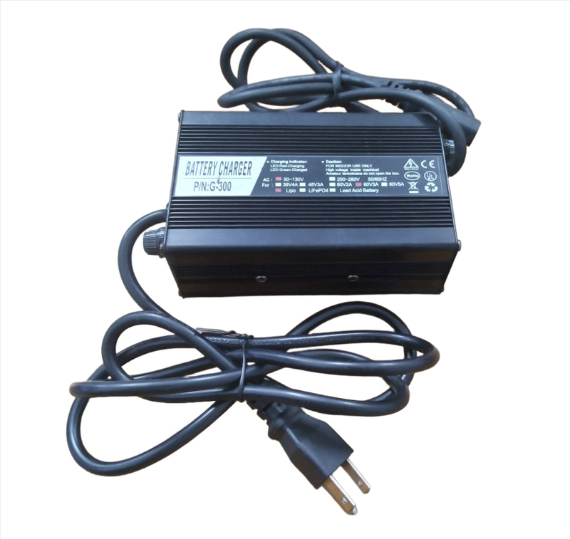 Charger 60V 3.0A Lithium Ion PC Plug