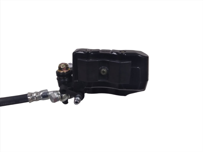 Eagle/Kingston/Austin Front Brake Assembly