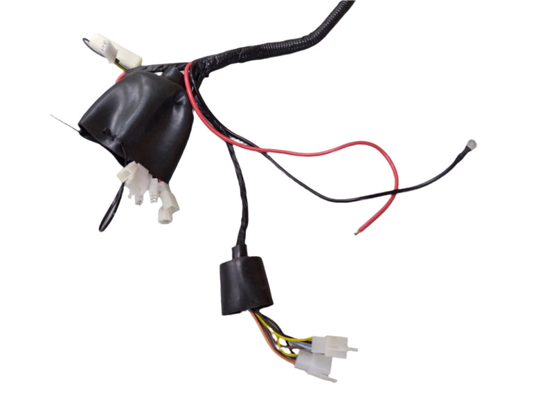 Wiring Harness for Roadstar - Type A