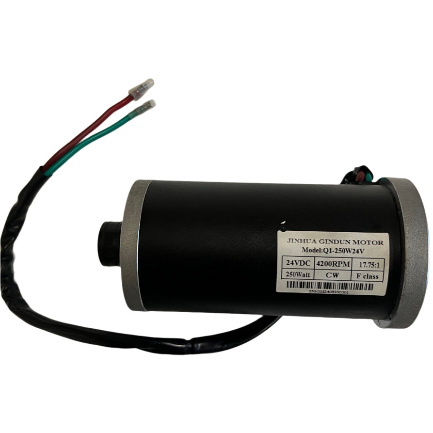 24V 250W Brushless DC Motor for Boomerbuggy Mate
