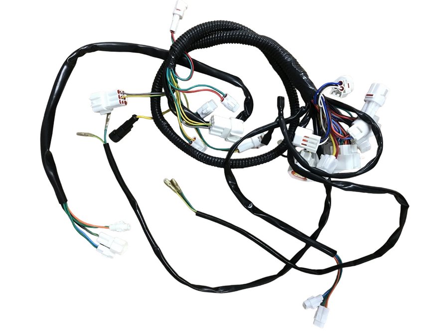 Wiring harness for beast AWD ATV deluxe