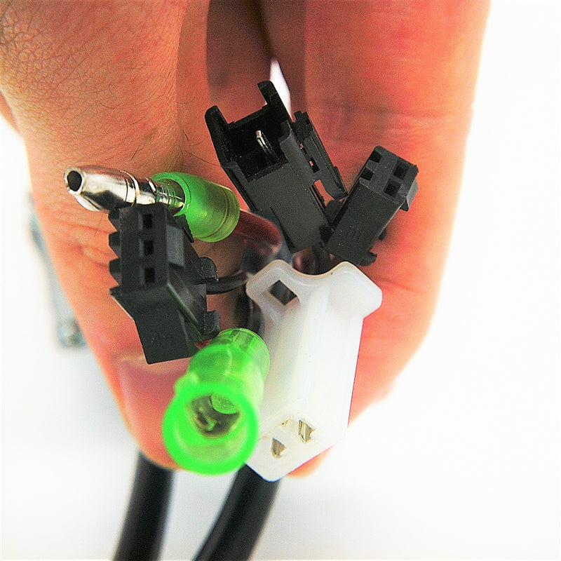 Controller 48V for Max S (D050083)