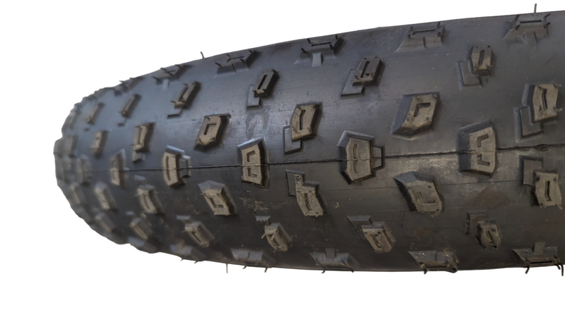 Rear Tire and Motor Assembly for the Max S Deluxe 48v 500w