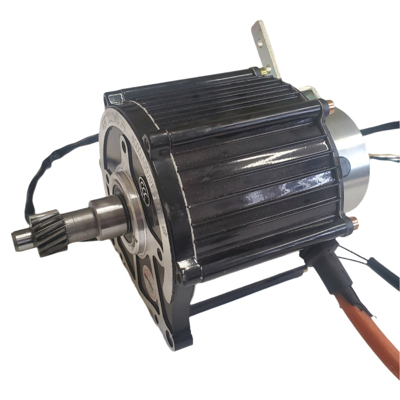 60V 1000W Motor for Boomerbuggy Cargo
