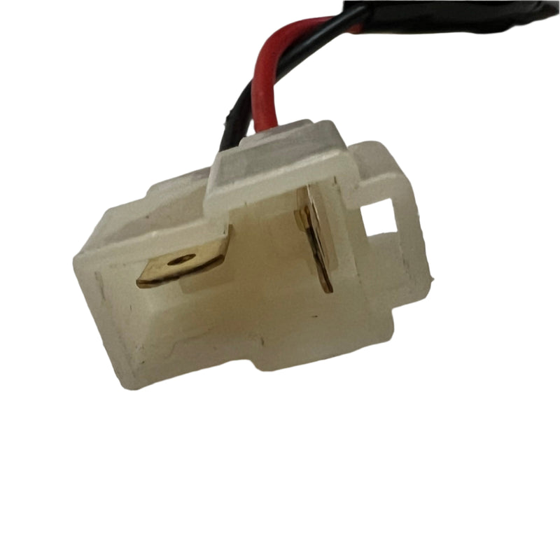 Ignition and Alarm for Loadrider / Boomerbuggy Cargo