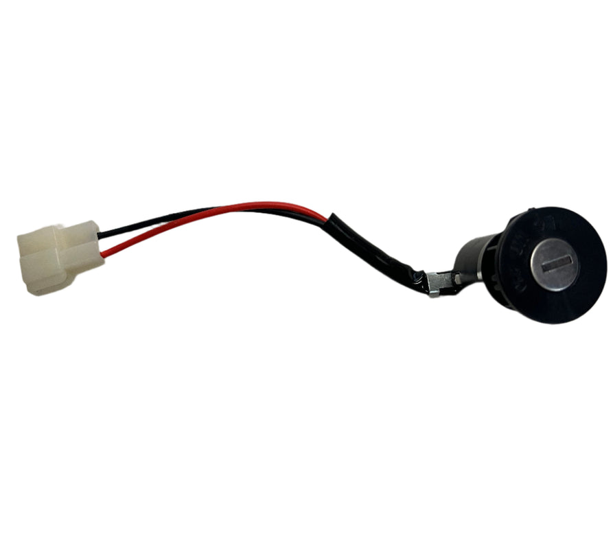 Ignition and Alarm for Loadrider / Boomerbuggy Cargo