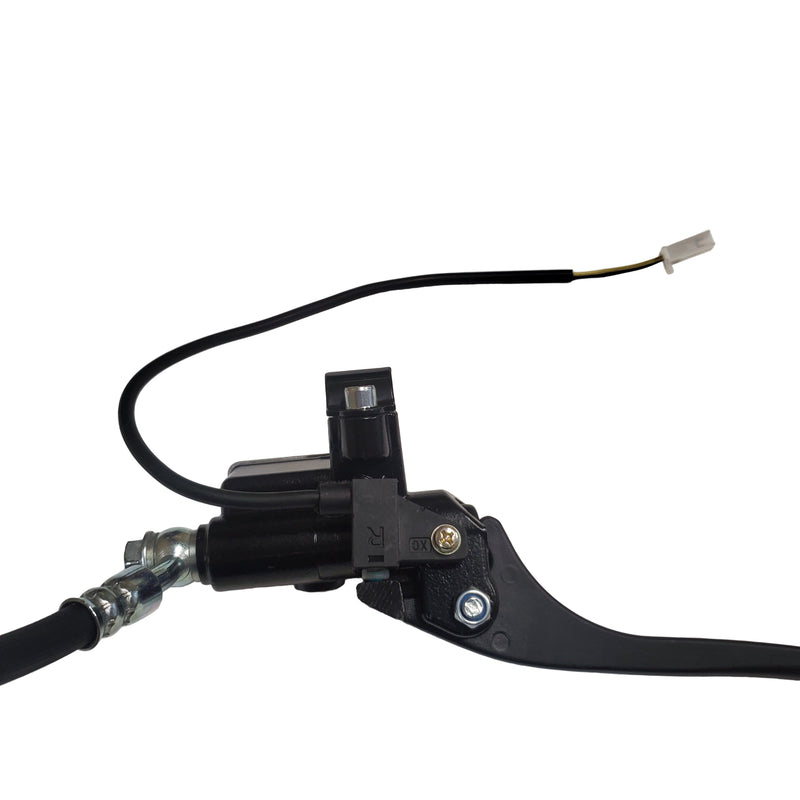 Front Brake Assembly for City Pulse 3