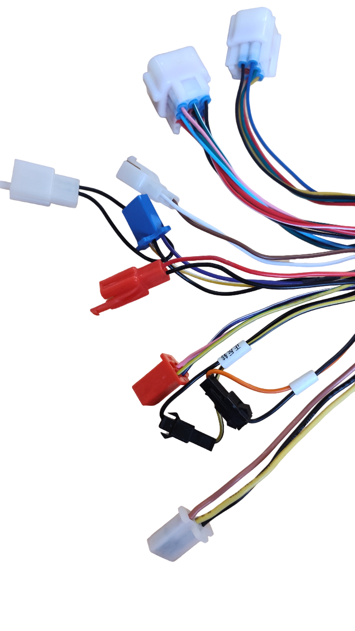 Brushless Motor Controller 60v-55Ah 1200W for BBX PRO (*LS10*)