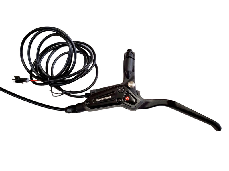 Karasawa Rear Hydraulic Brake Assembly