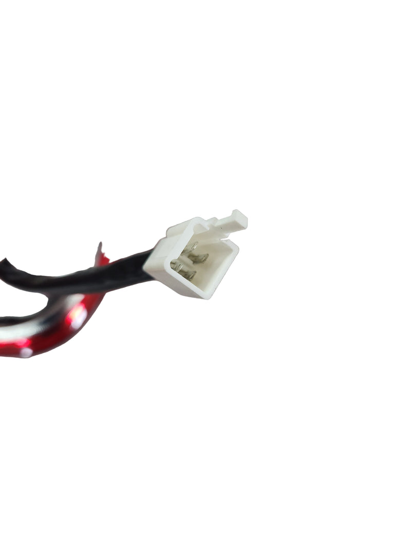 Left Tail Light Assembly for Roadstar 4 Wheel / City Pulse 3 / 4