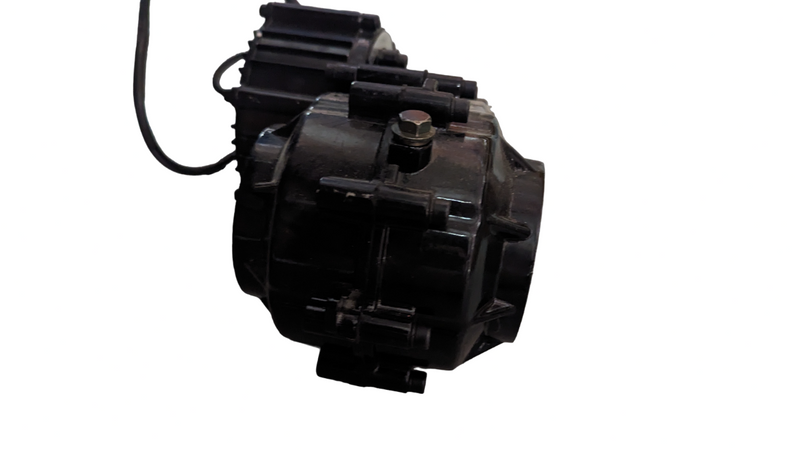 48V 500W brushless motor for Rickshaw