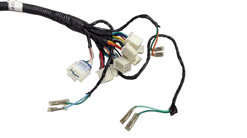 Wiring Harness for Beast 1.0