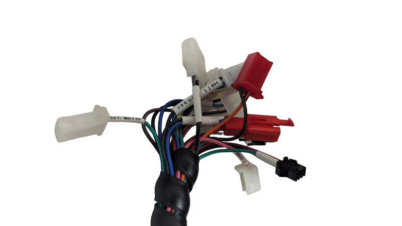 Brushless Motor controller 24v 50Ah w/ Bluetooth for Rickshaw