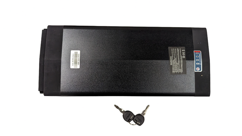 Lithium battery 48V 20ah for Recumbent Ebike