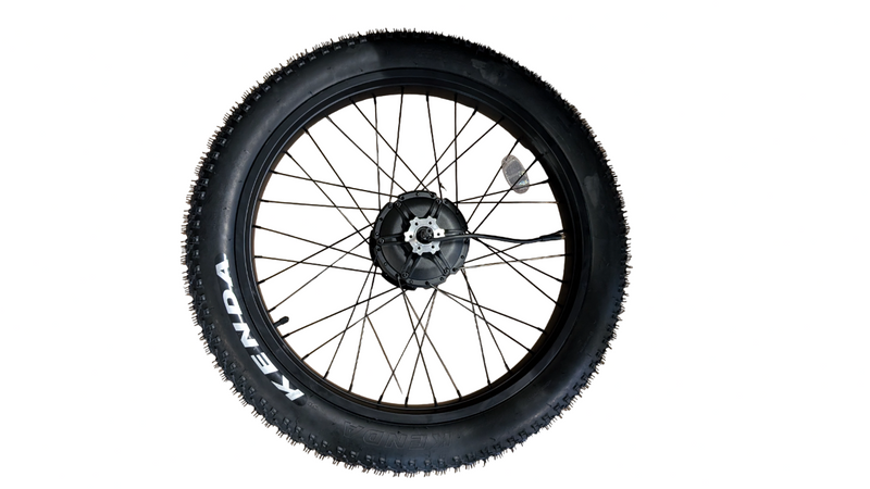 Wildgoose S 48V Rear Motor Assembly