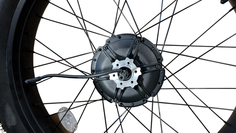 Wildgoose S 48V Rear Motor Assembly