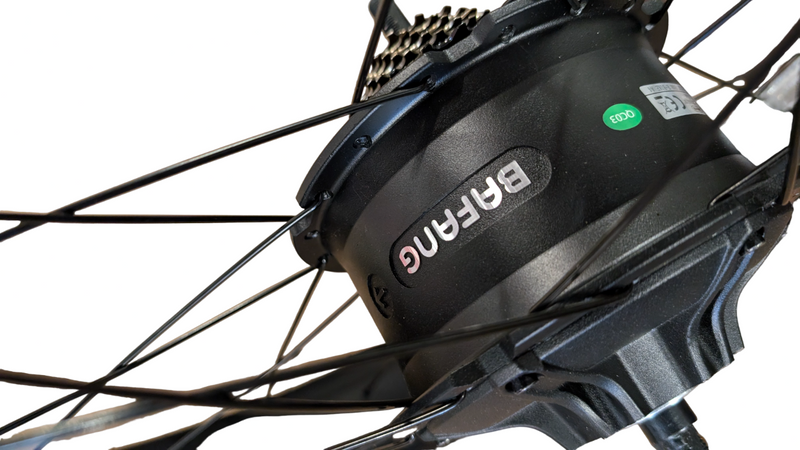 Wildgoose S 48V Rear Motor Assembly