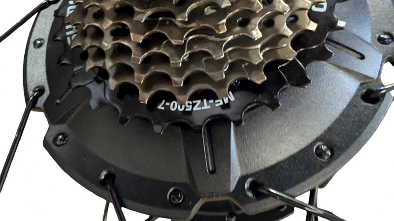 Wildgoose S 48V Rear Motor Assembly