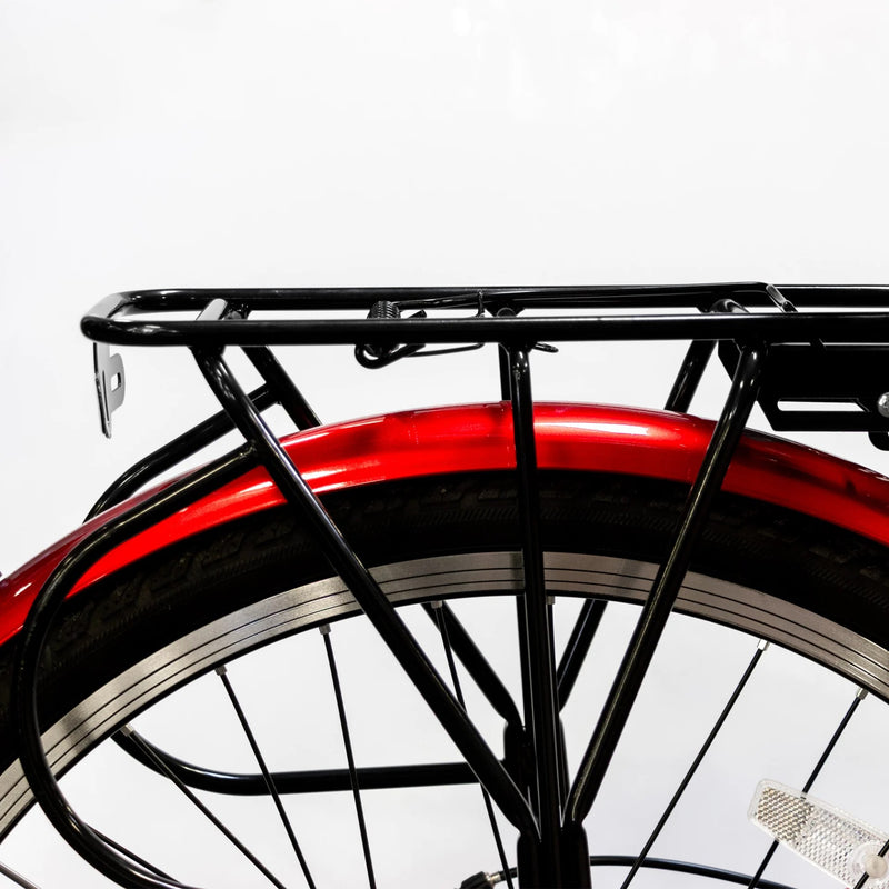 Paris 48V Deluxe- Step-Through Ebike