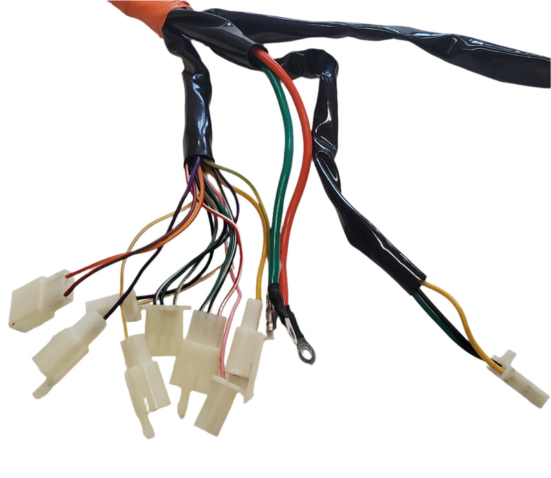 Wiring Harness for City Pulse 3 / 4