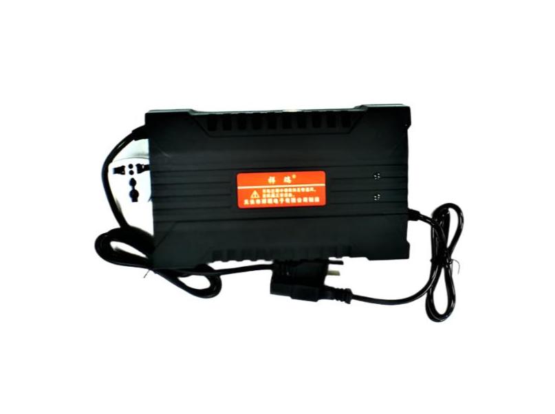 Charger 220V 60V 4.8A LAB - PC Plug W/ adapter