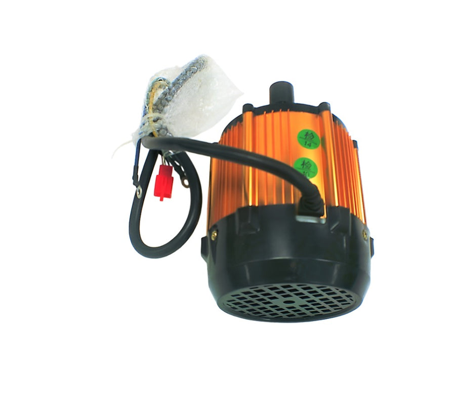 60V 1200W brushless motor for Mobility (gold)