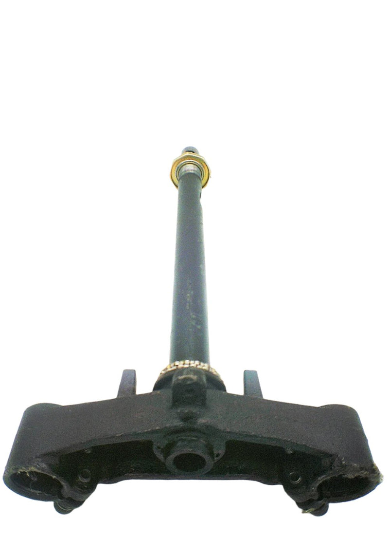 Triple Tree for Austin SX