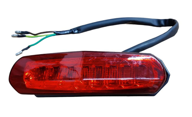 Taillight assembly for BoomerBeast 1.0