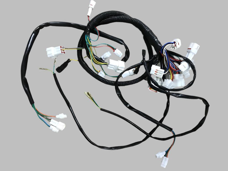 Wiring harness for beast AWD ATV deluxe