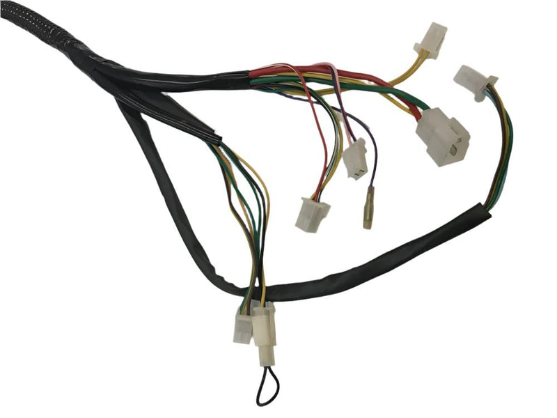 Wiring Harness for Chameleon - B