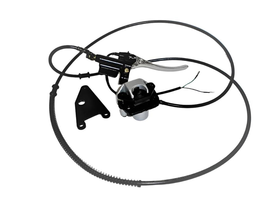 Rear Brake Assembly for Chameleon